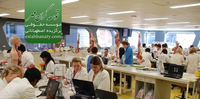 آموزش در&nbsp;دانشگاه تاسمانیا
