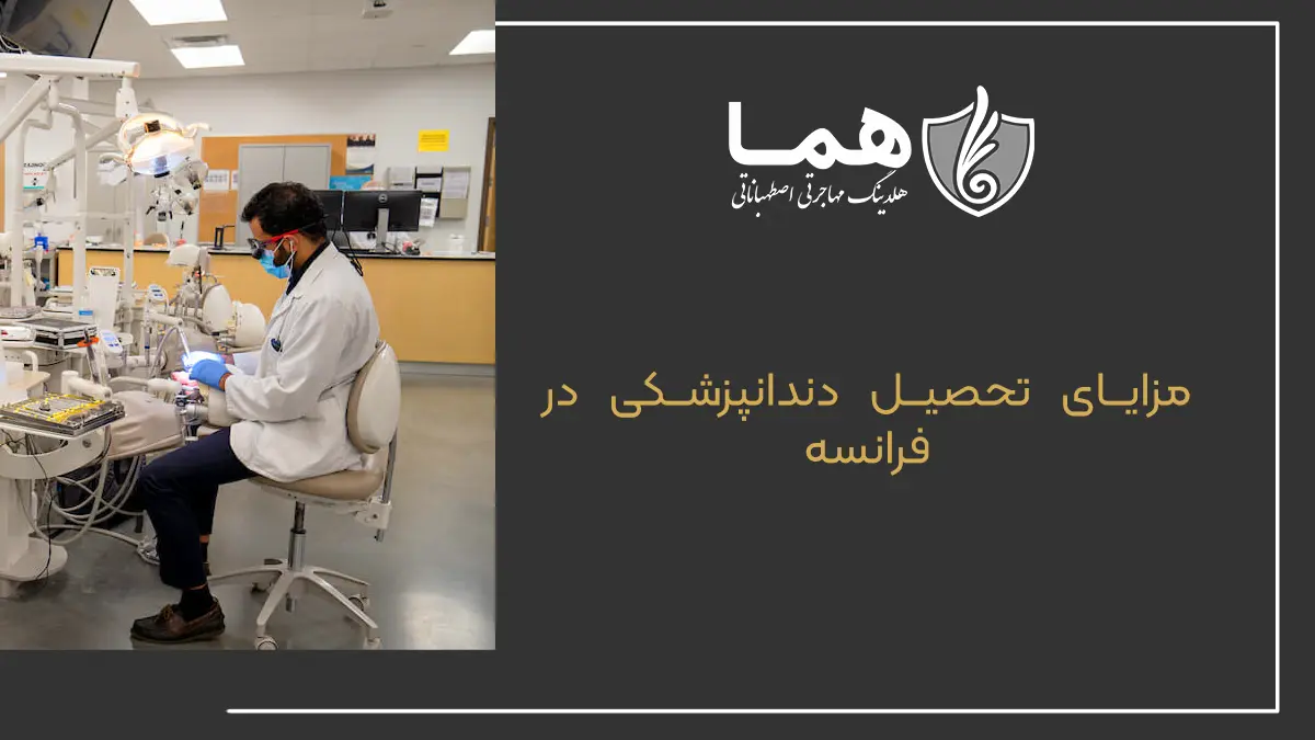 مزایای تحصیل دندانپزشکی در فرانسه