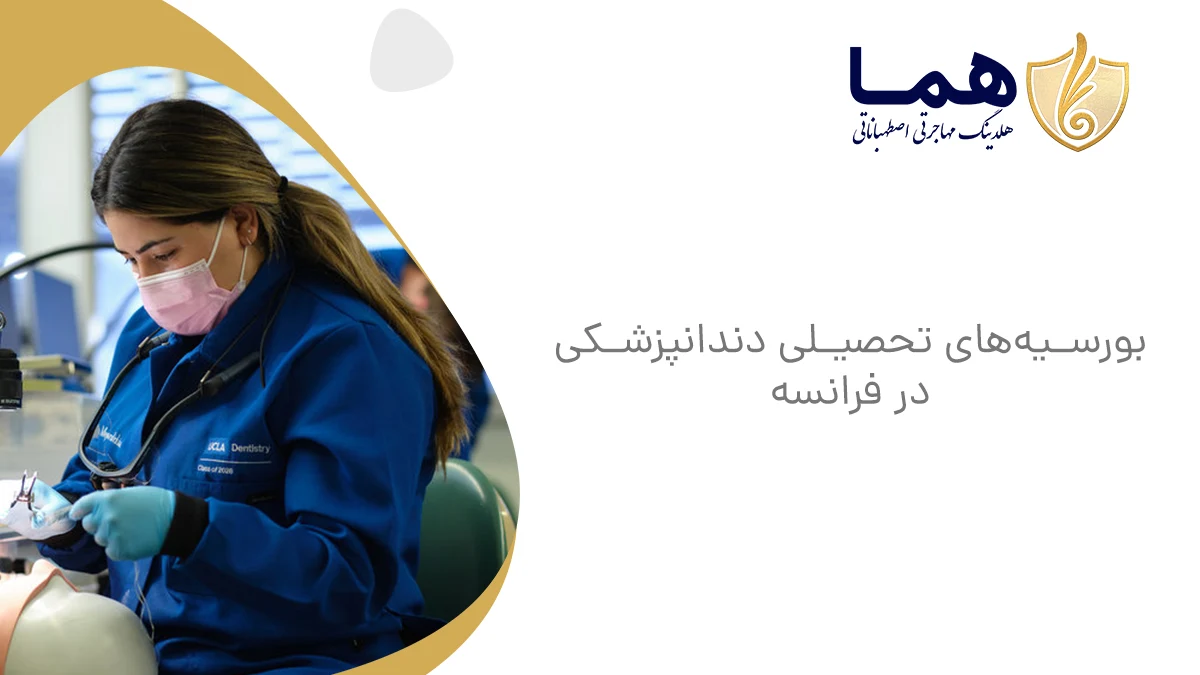 بورسیه&zwnj;های تحصیلی دندانپزشکی در فرانسه