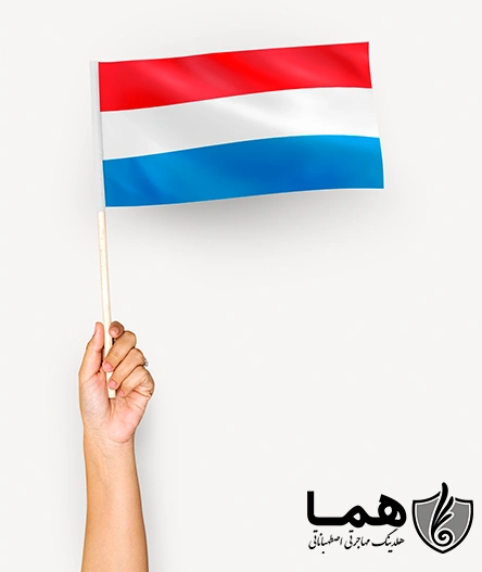 خدمات موسسه مهاجرتی