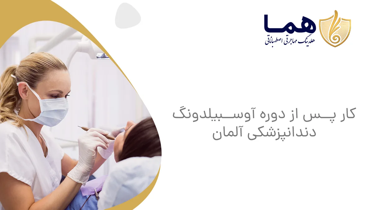 کار پس از دوره آوسبیلدونگ دندانپزشکی آلمان