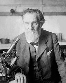 Élie Metchnikof