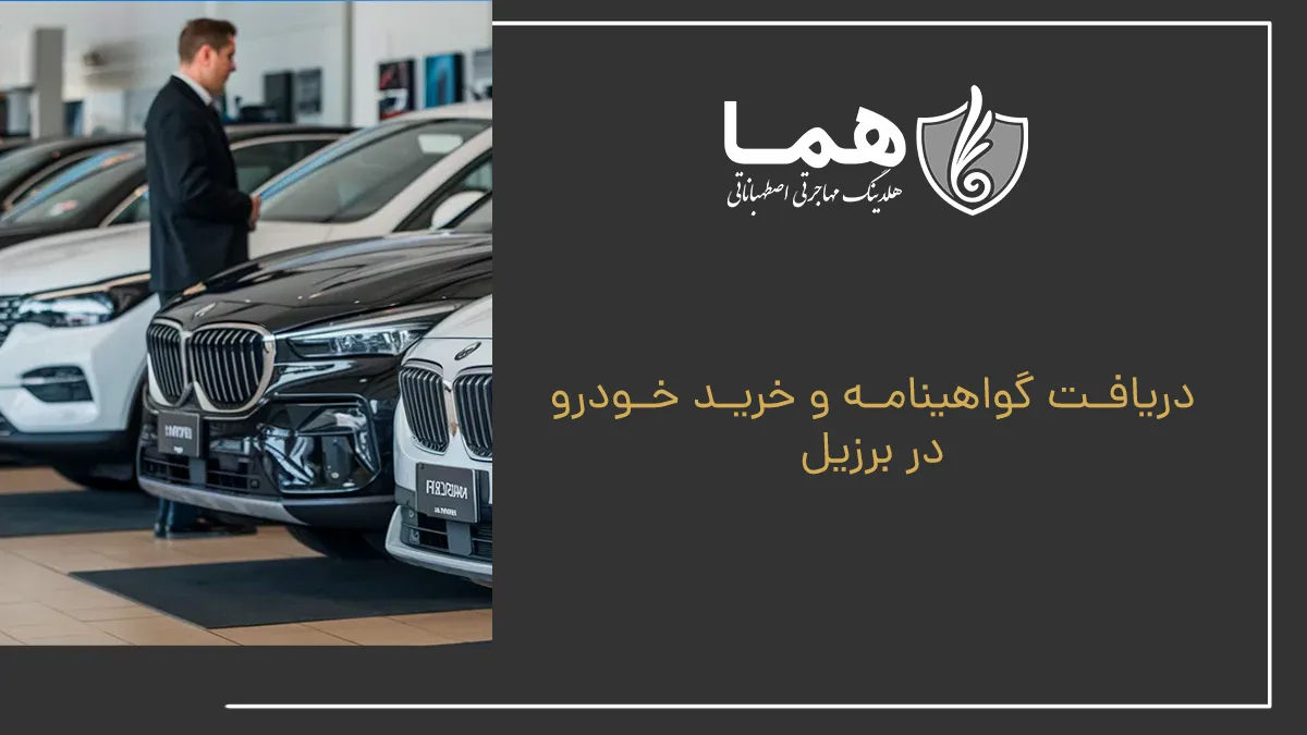 دریافت گواهینامه و خرید خودرو در برزیل