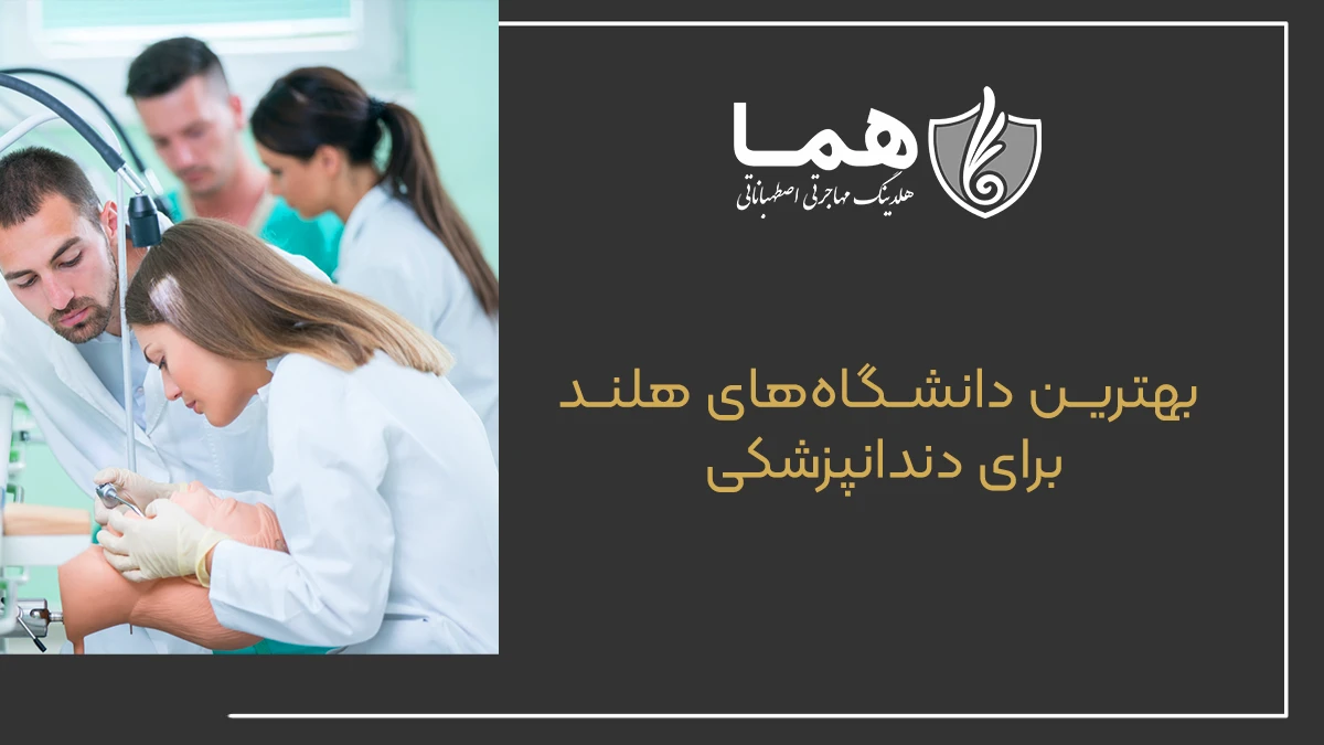 بهترین دانشگاه&zwnj;های هلند برای دندانپزشکی