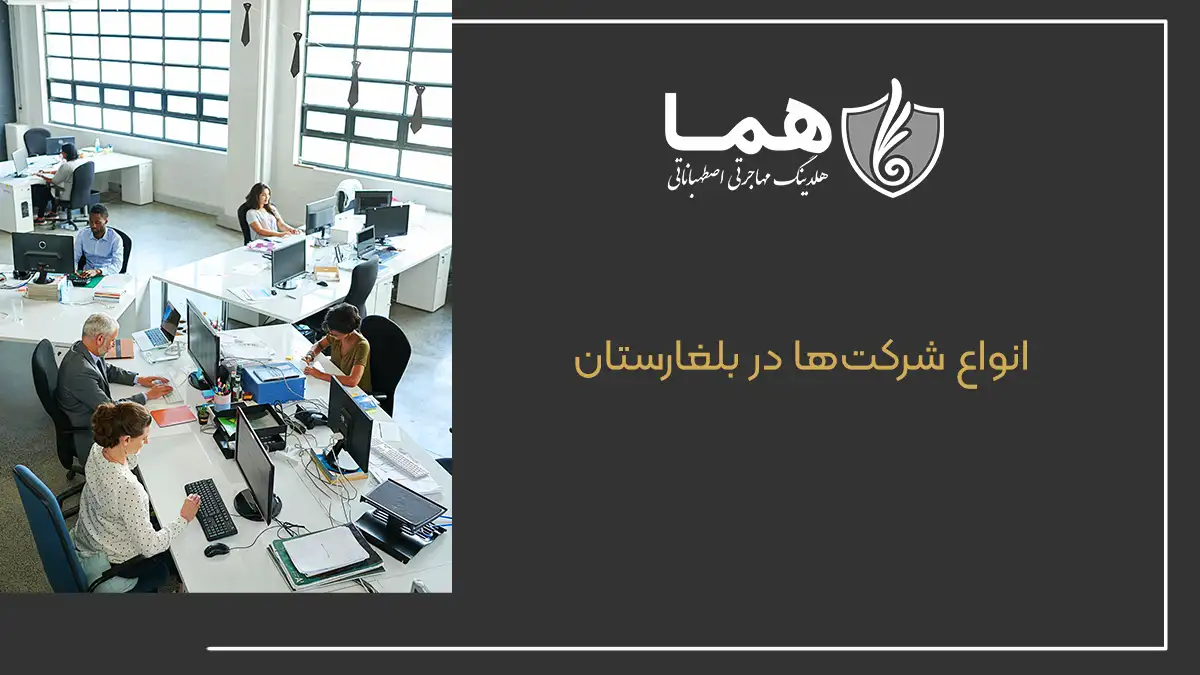 انواع شرکت&zwnj;ها در بلغارستان