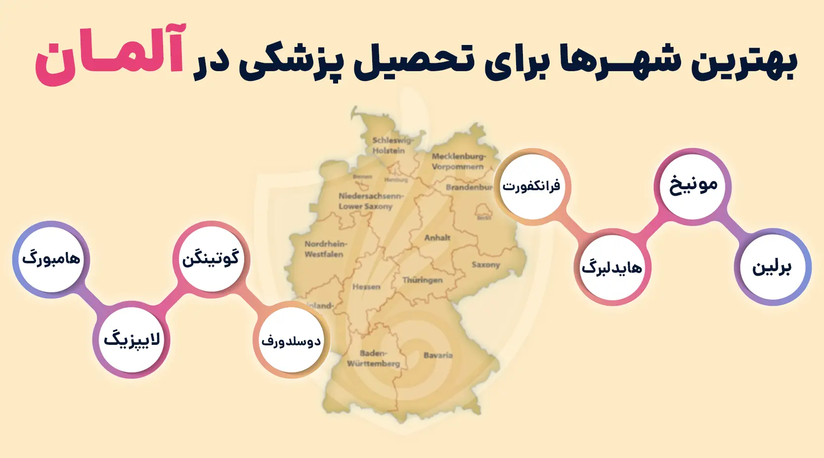 بهترین شهرها برای تحصیل پزشکی