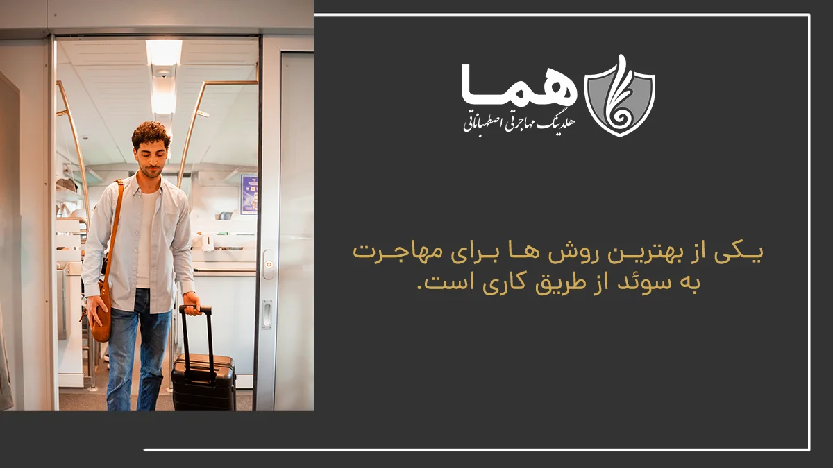 مهاجرت کاری به سوئد