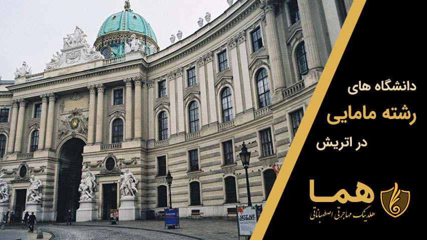 دانشگاه های رشته مامایی در اتریش